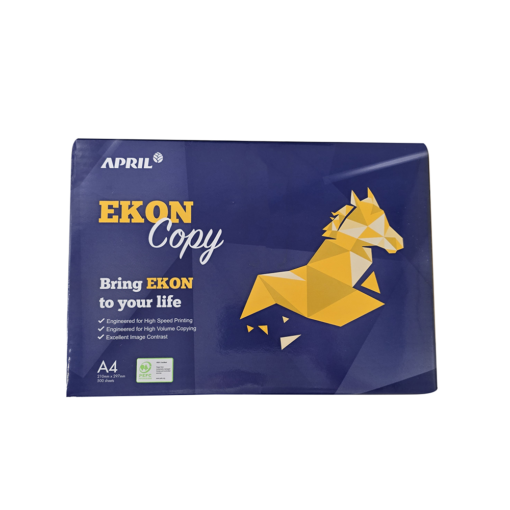 Carta Fotocopie Ekon Blu A4 21x29,7 500FF Foto prodotto